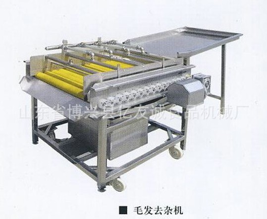 草莓生產(chǎn)線毛發(fā)去雜機.jpg