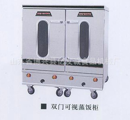 雙門可視蒸飯柜