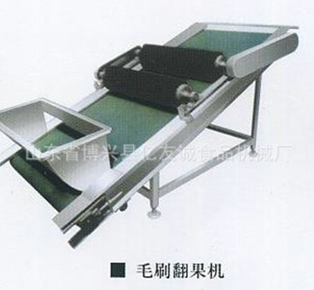 毛刷翻果機 毛刷翻果機