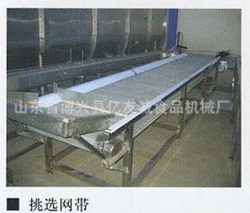 不銹鋼挑選網帶 不銹鋼挑選網帶