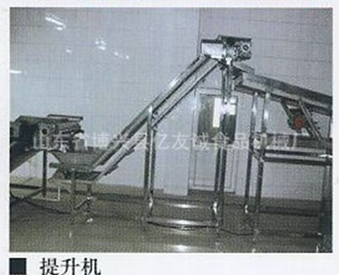 不銹鋼網帶提升機 不銹鋼網帶提升機