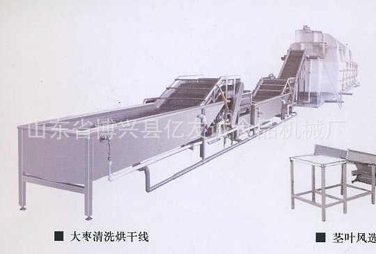 大棗清洗烘干線