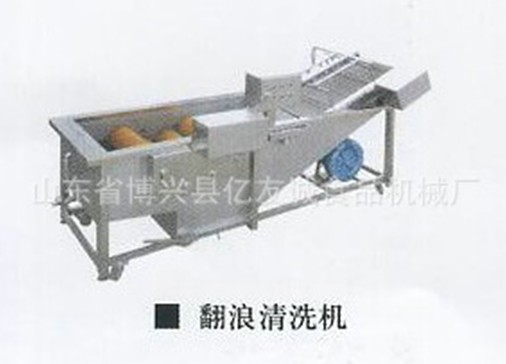 果蔬菜清洗機翻浪清洗機