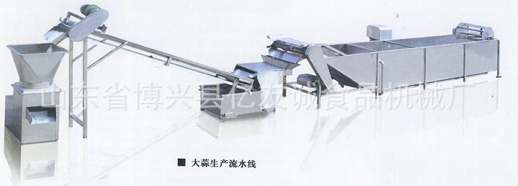 大蒜生產(chǎn)流水線 大蒜生產(chǎn)流水線
