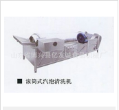 氣泡清洗機與蔬菜清洗機的“一較高下”!