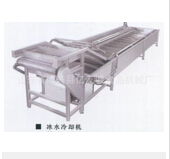 節奏分明的蔬菜速凍生產線